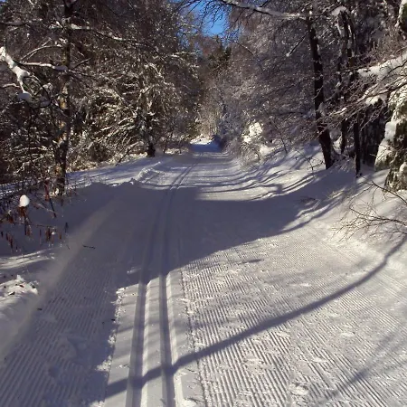 Near The Lift Prázdninový dům Winterberg